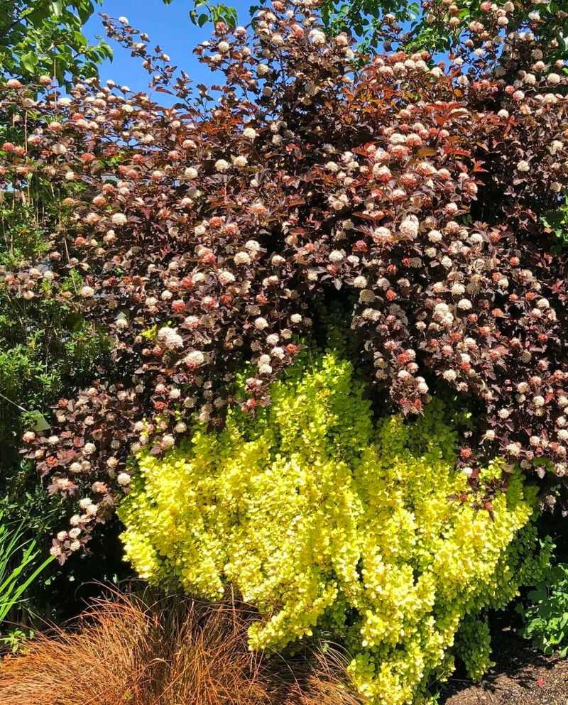 The Planting Trick For Faster Coverage The Planting Trick For Faster Coverage