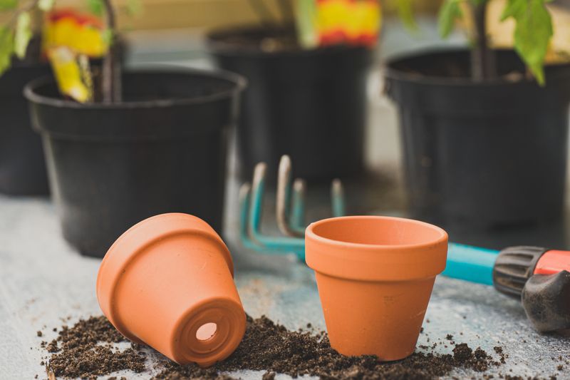 The Pot Is Too Big Or Too Shallow
