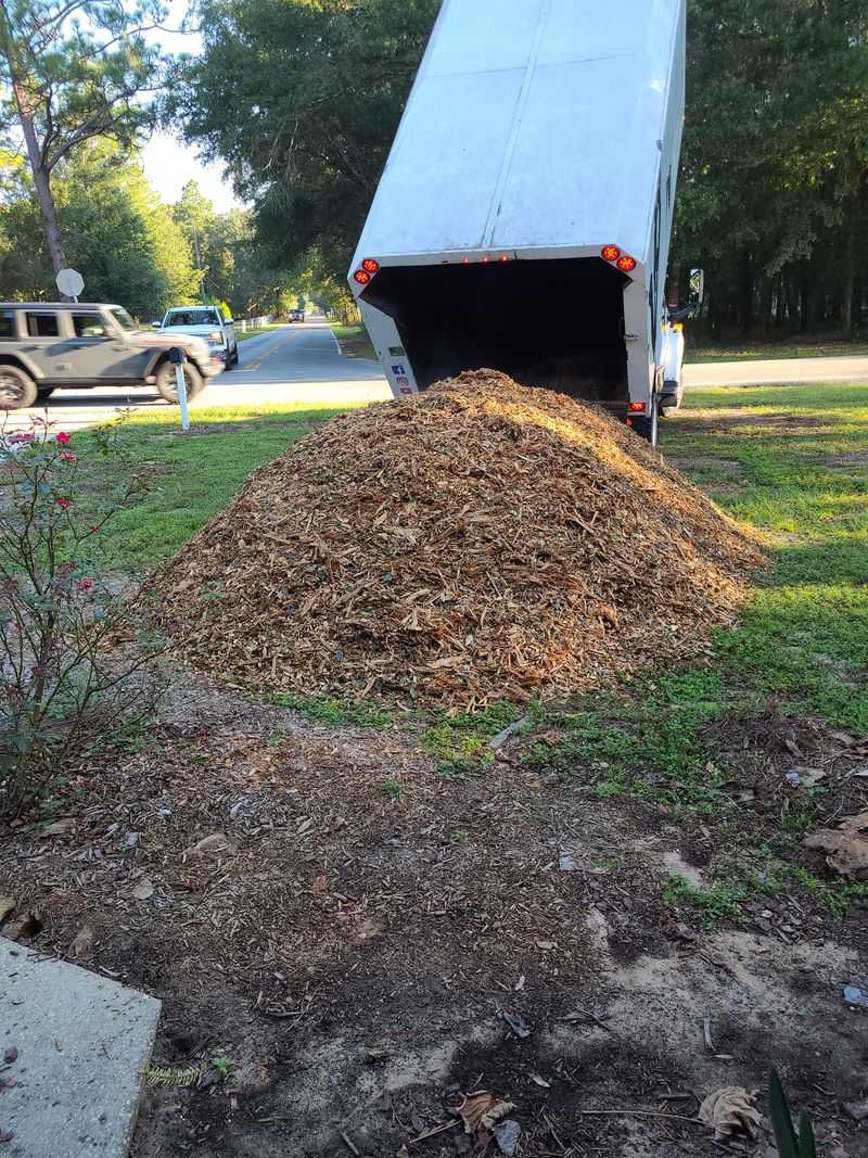 The Raw Organic Matter Trap In Autumn Beds