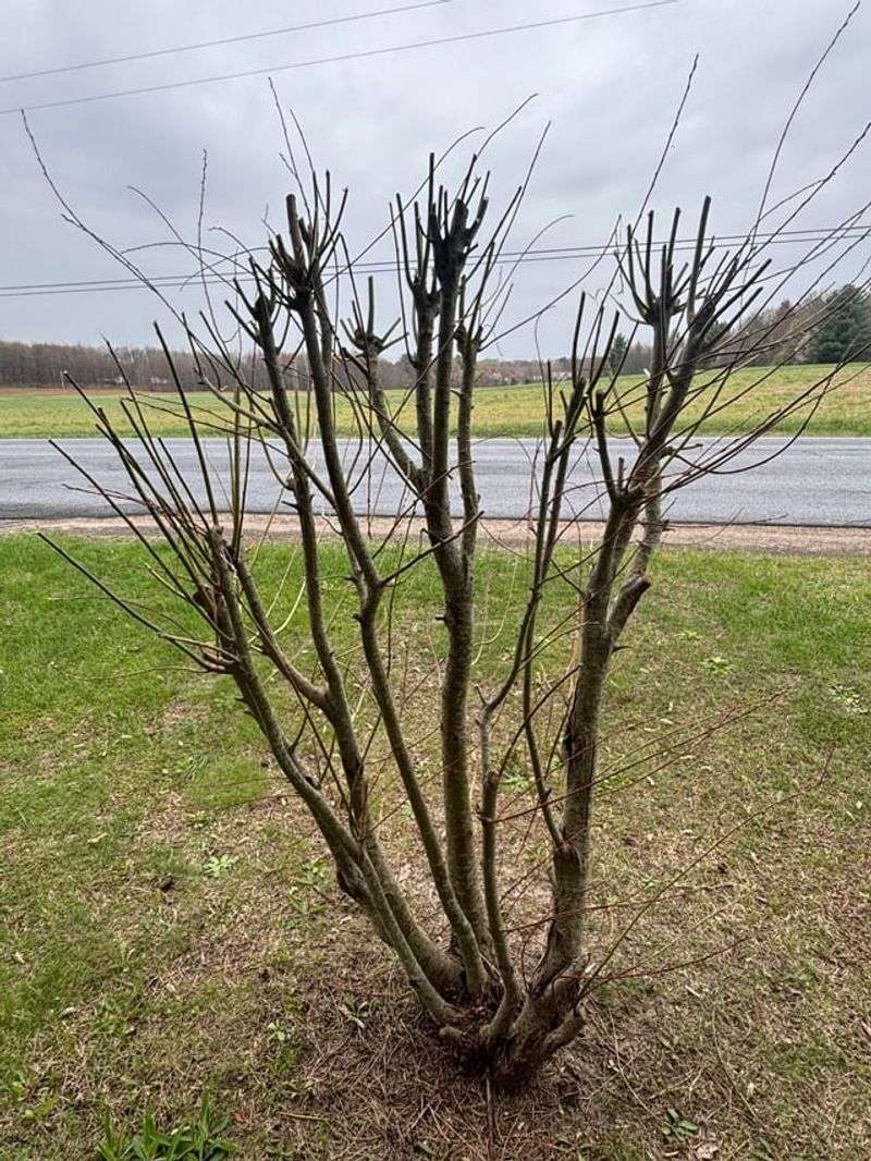 The Real Cost Of A Late Season Cut Back The Real Cost Of A Late Season Cut Back