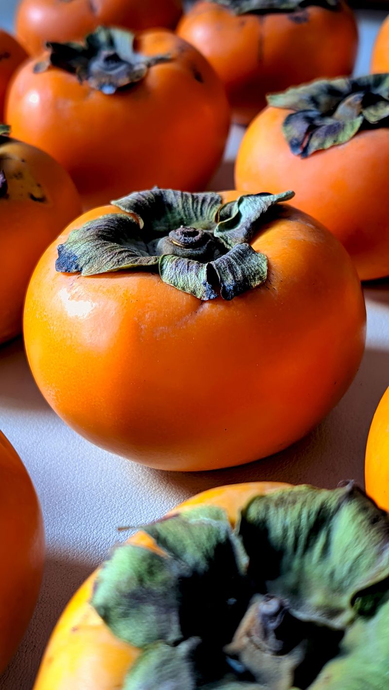 The Real Timeline Of Early Autumn Ripeness The Real Timeline Of Early Autumn Ripeness