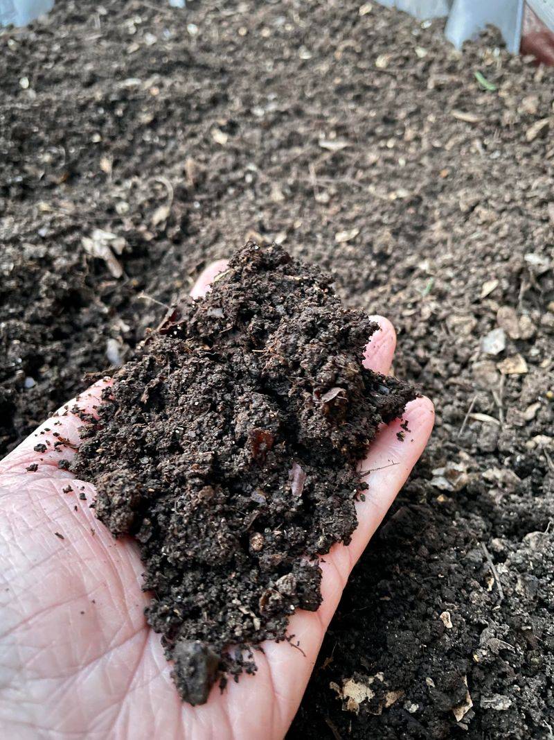 The Rich Black Payoff Sitting Ready For Spring Planting The Rich Black Payoff Sitting Ready For Spring Planting