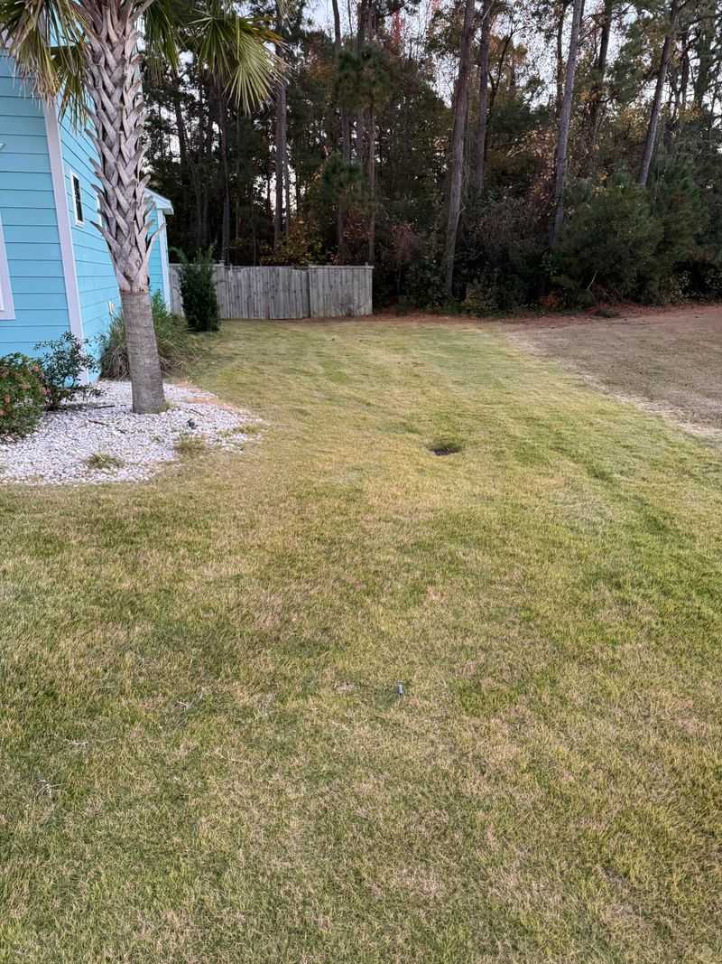 The Right September Care Helps Zoysia Prepare For Dormancy The Right September Care Helps Zoysia Prepare For Dormancy