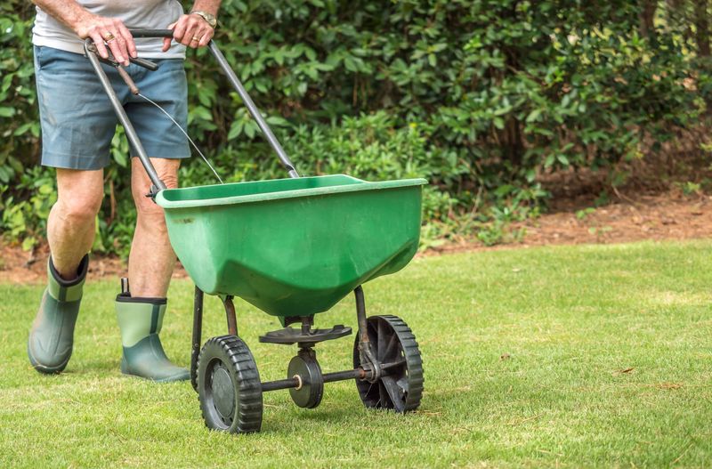 Feed Your Lawn Before Cold Weather Arrives