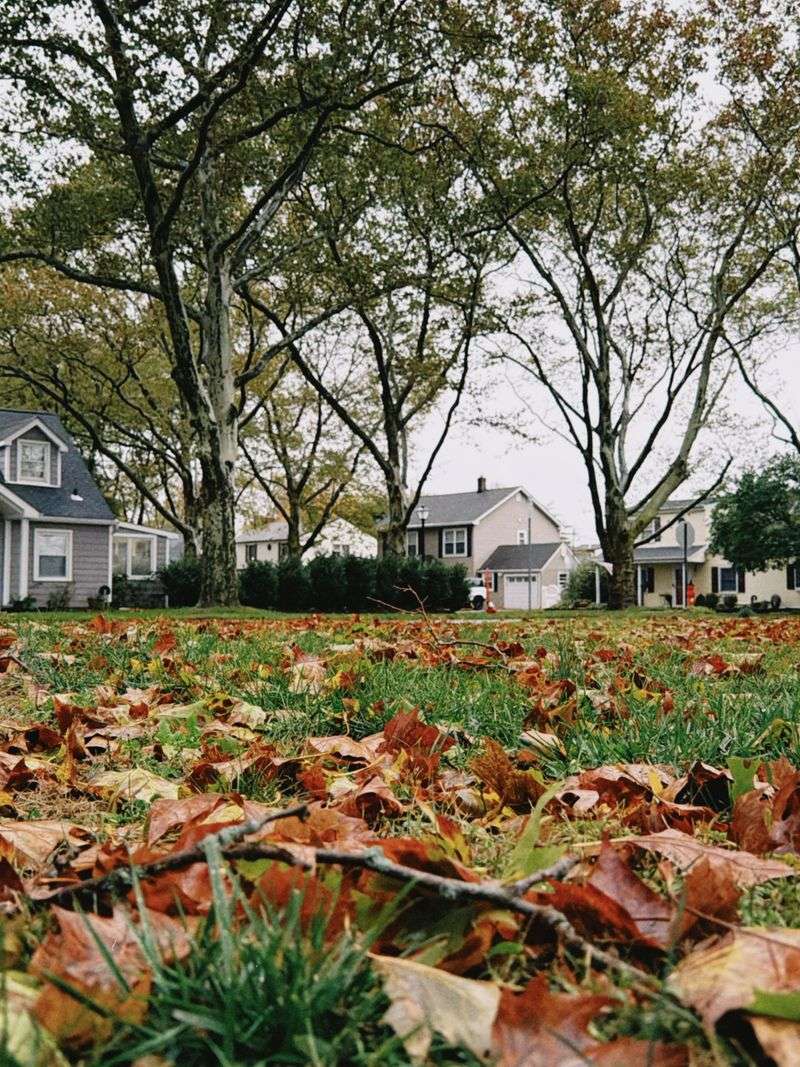 The Right Window For Fall Watering