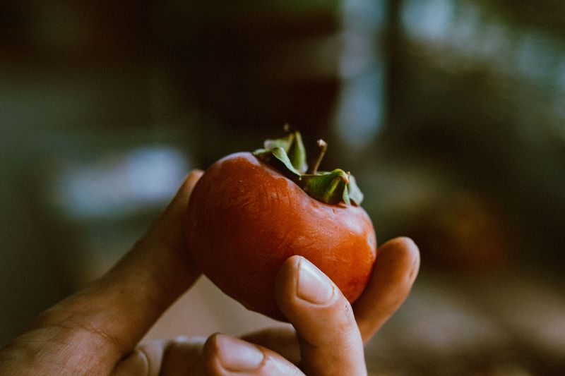 The Seed-Splitting Custom Tennessee Folks Grew Up With The Seed-Splitting Custom Tennessee Folks Grew Up With