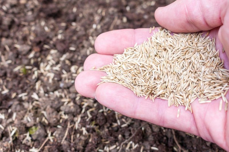 The September 20 Cutoff That Stops Illinois Seeding Cold