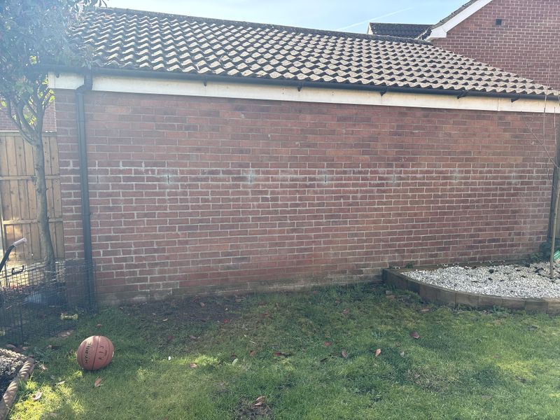 The Shaded Side Of The House That Bugs Skip The Shaded Side Of The House That Bugs Skip