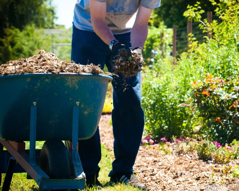 The Soil Is Often Easier To Work Before Winter