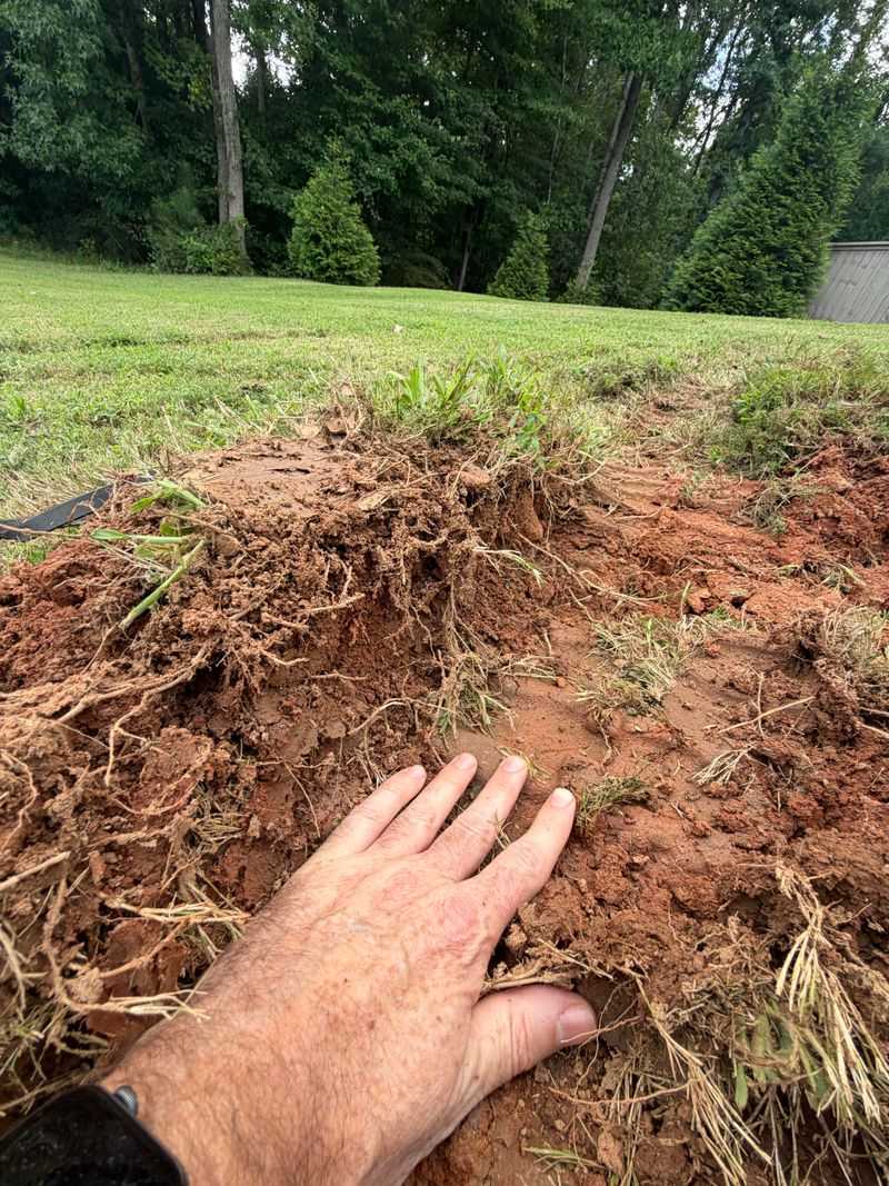 The Soil Surface Has Become Compacted The Soil Surface Has Become Compacted