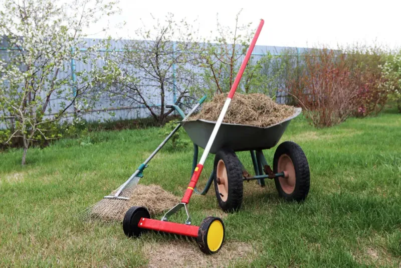 Dethatch Your Lawn Before Winter