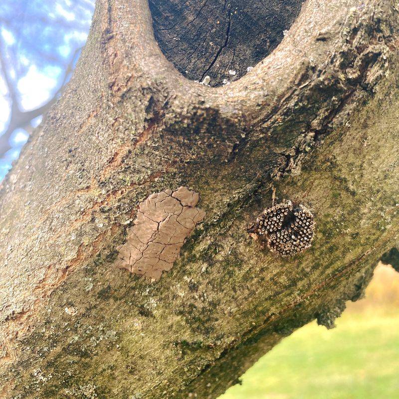 The Truth Behind Those Gray Putty Patches The Truth Behind Those Gray Putty Patches