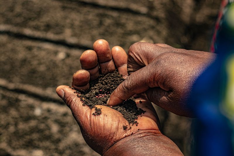 The Two-Knuckle Finger Test That Tells You What Your Plant Needs The Two-Knuckle Finger Test That Tells You What Your Plant Needs