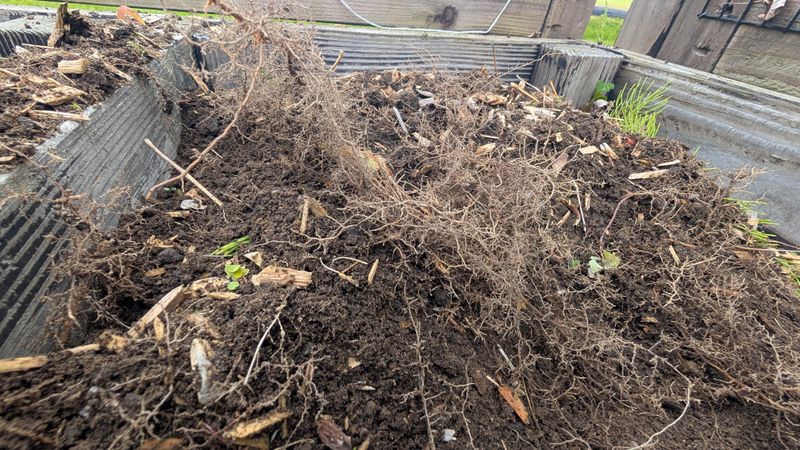 The Underground Payoff In Your Garden Beds
