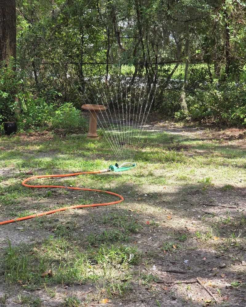 The Watering Mistake That Wastes Good Seed