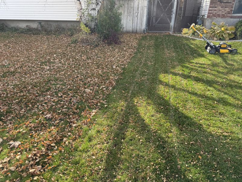 The Wisconsin Takeaway: Mow the Manageable Layer, Remove the Rest The Wisconsin Takeaway: Mow the Manageable Layer, Remove the Rest