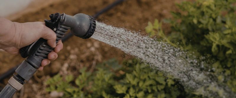 The Worst Way: Shallow, Daily Splashing
