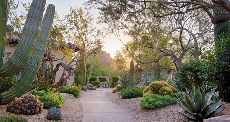 The claimed planting trend is not established The claimed planting trend is not established