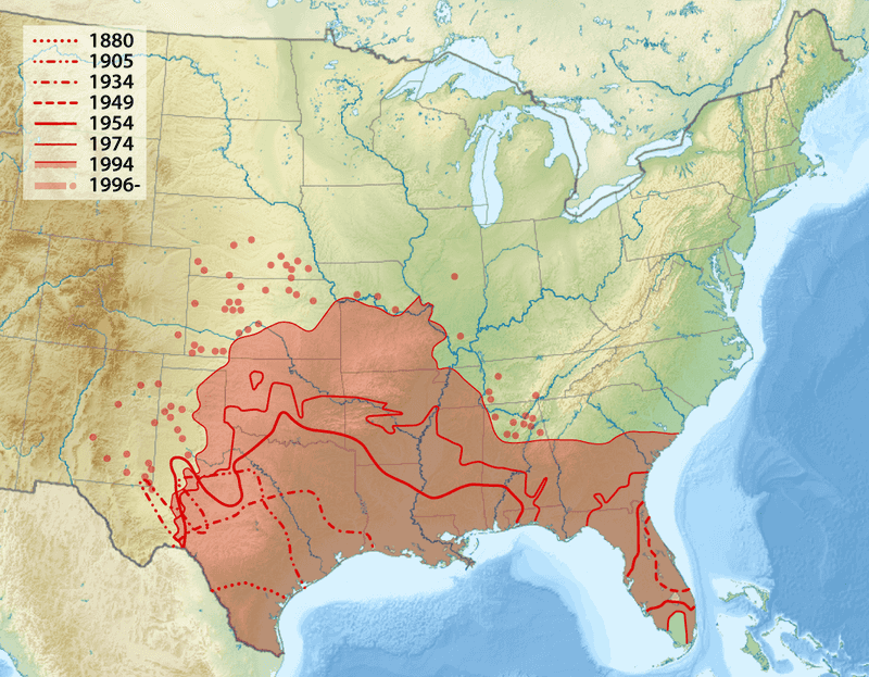The evidence does not show an Arizona armadillo surge