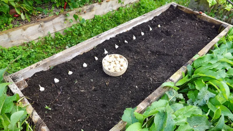 The fall mistake to avoid is a soggy bed