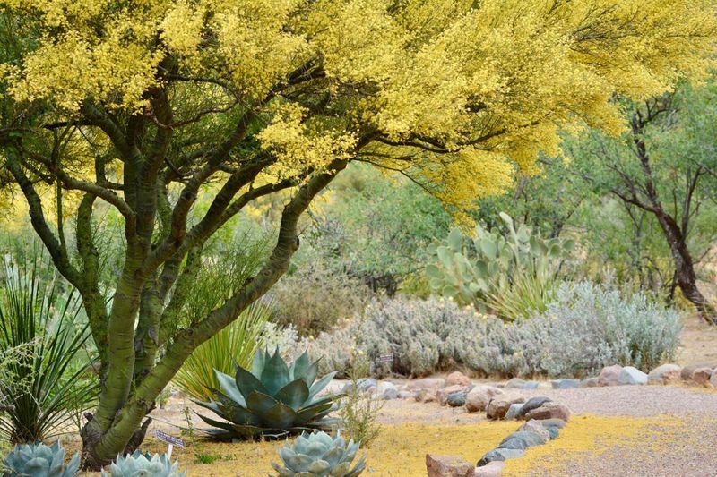 The open canopy offers useful shade without promising deep cooling