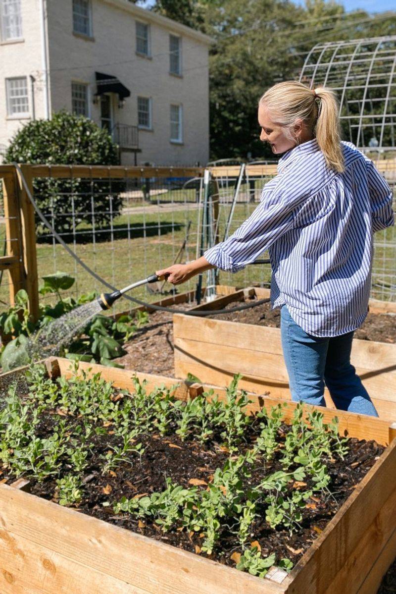 The vegetable beds need a different standard