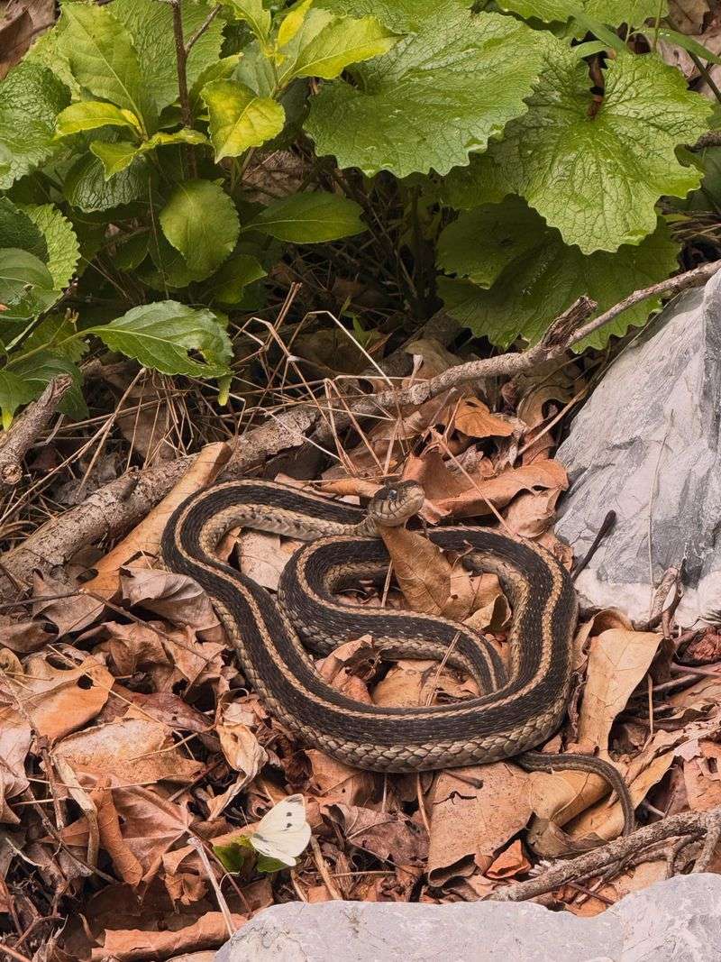 There's Plenty Of Cover Nearby There's Plenty Of Cover Nearby