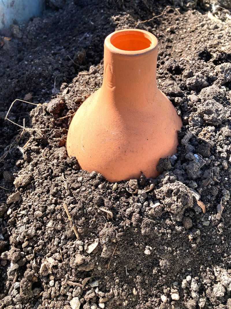 They Can Help During Hot Dry Periods They Can Help During Hot Dry Periods