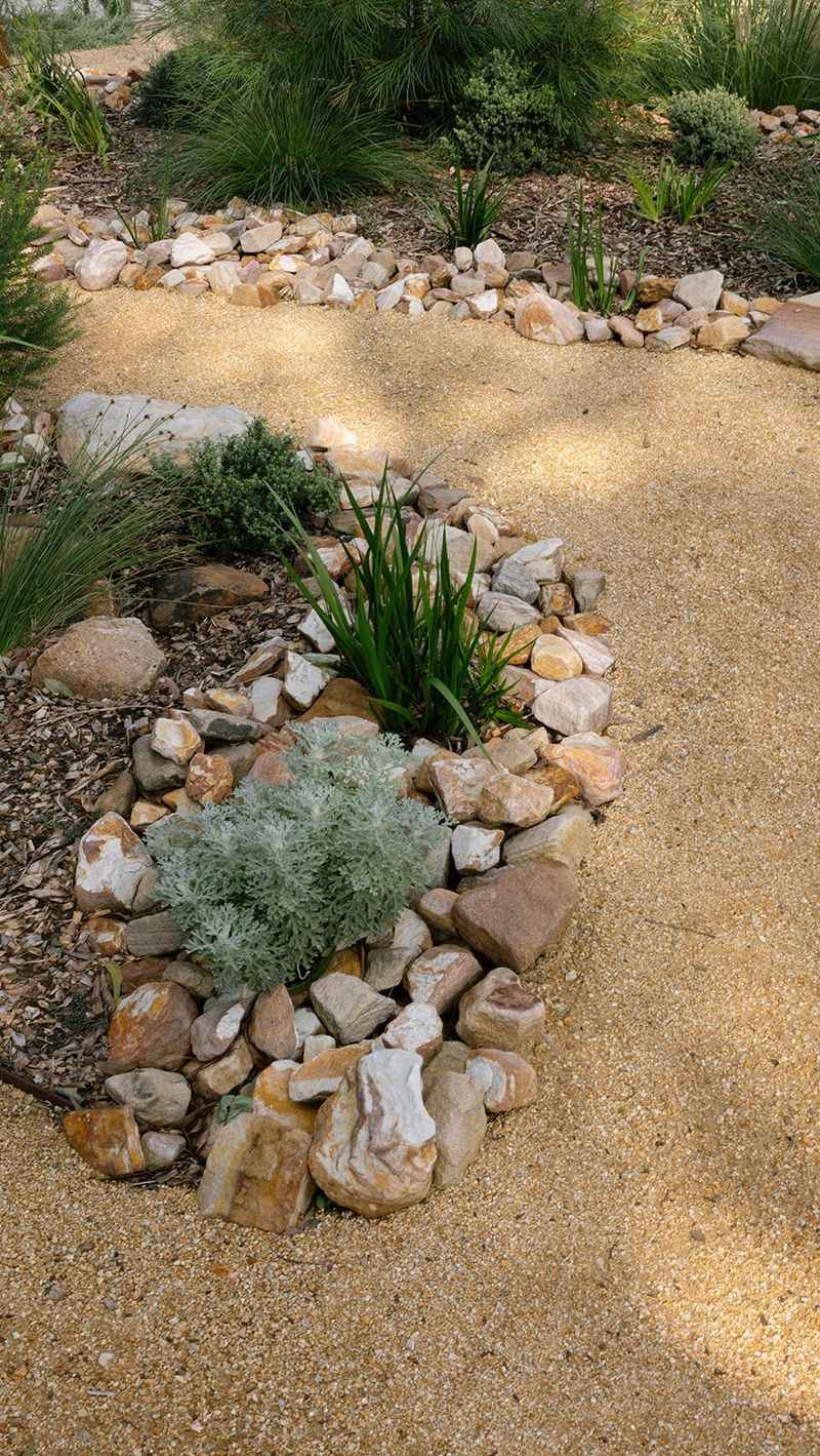 Thick Mulch Does Not Fix Poor Drainage Thick Mulch Does Not Fix Poor Drainage