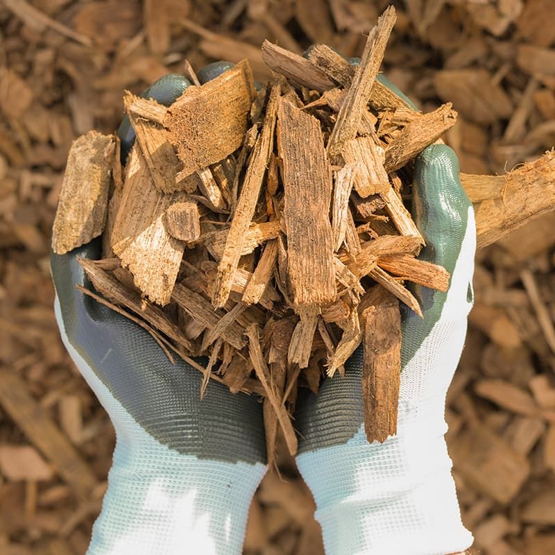 Thick Wood-Chip Mulch Thick Wood-Chip Mulch