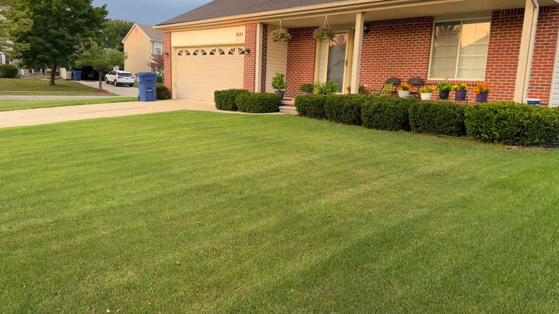 Thicker Turf And Fewer Weeds After The Fix
