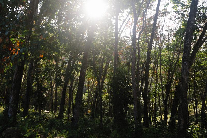 Thin Air And Strong Sunlight Stress High Groves Thin Air And Strong Sunlight Stress High Groves