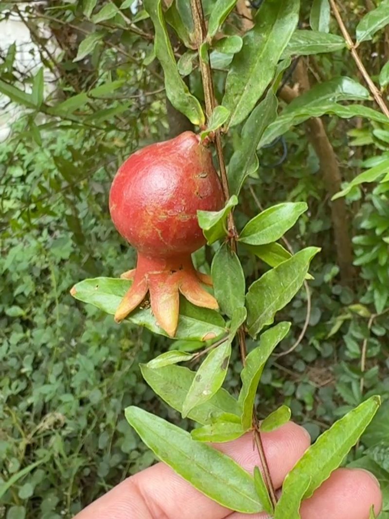 Thin The Center For Better Airflow Thin The Center For Better Airflow