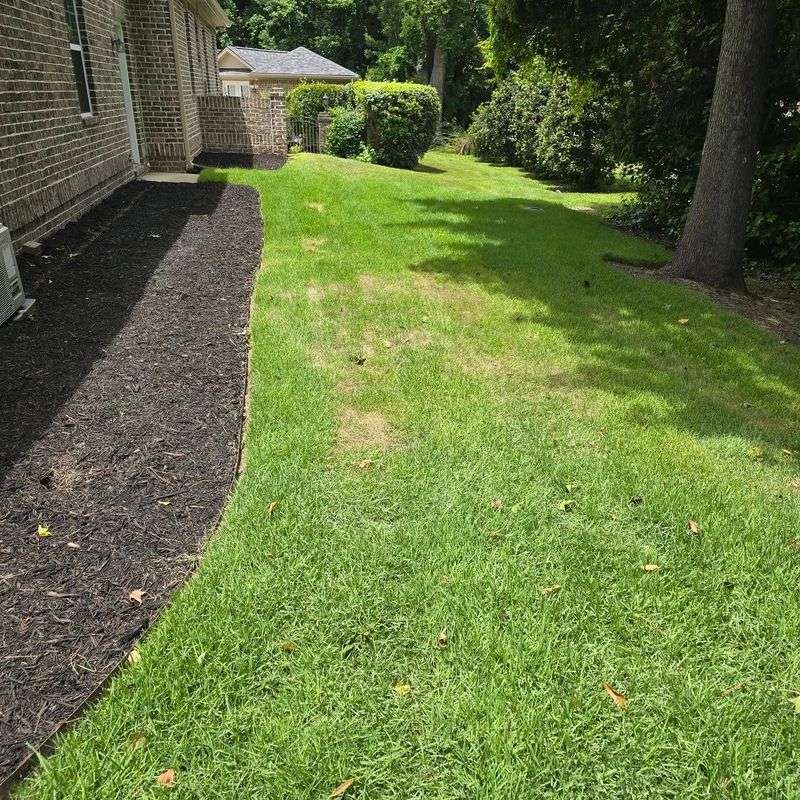 Thin Turf, Bare Soil, And Summer Stress
