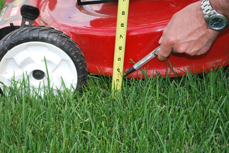 Three Inches Or Taller Is The Sweet Spot