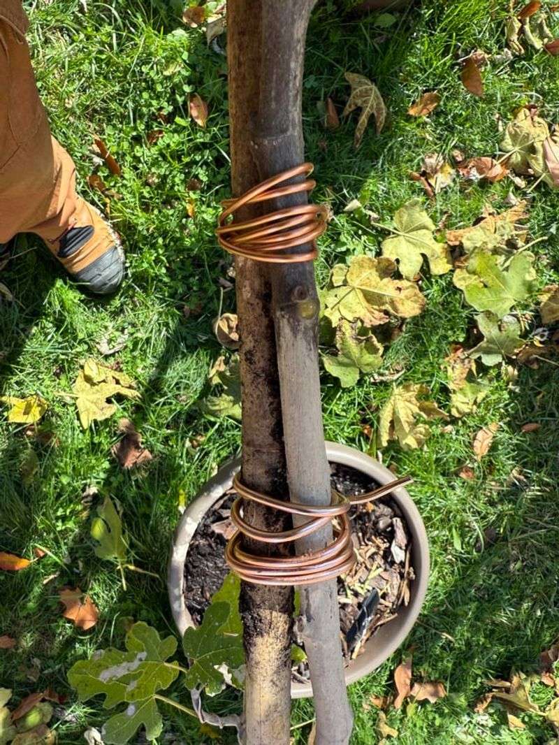Tie Flexible Branches Together First Tie Flexible Branches Together First