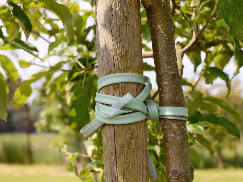 Ties That Are Too Rigid Cause Problems Too Ties That Are Too Rigid Cause Problems Too