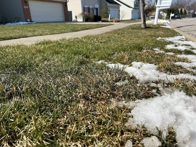 Time The Last Mow Before Snow Arrives Time The Last Mow Before Snow Arrives