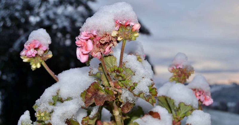 Time Your Winter Preparations