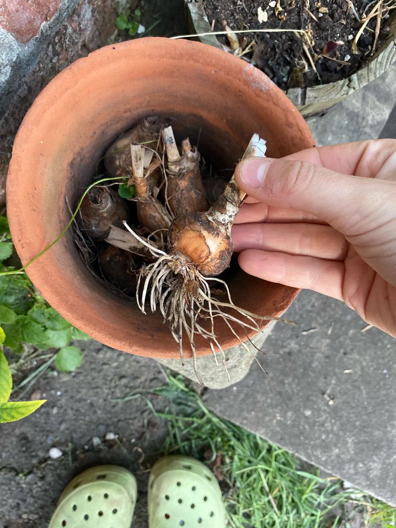 Timing The Job By Soil Temperature And Rainfall Timing The Job By Soil Temperature And Rainfall