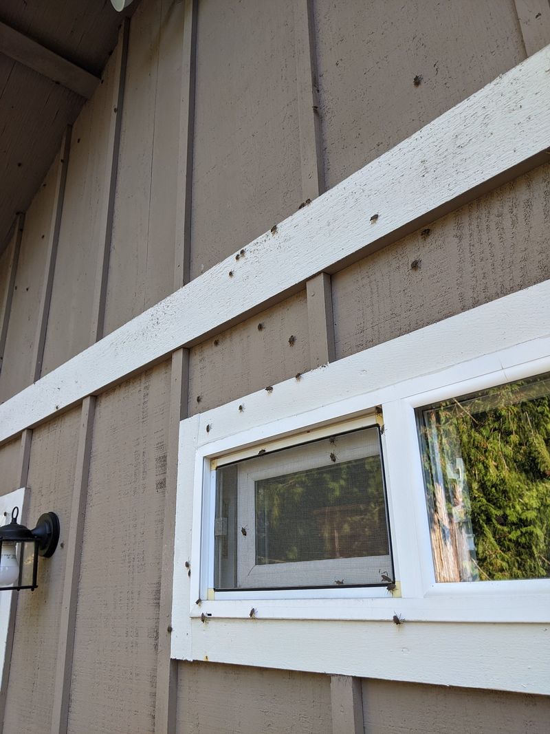 Tiny Cracks Give Both Pests An Entry Route