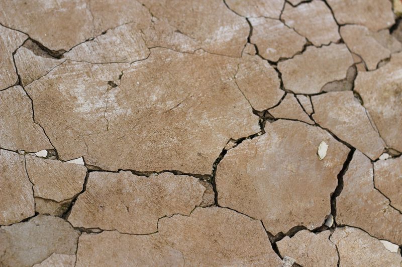 Tiny Cracks Offer A Path To The Inside Tiny Cracks Offer A Path To The Inside