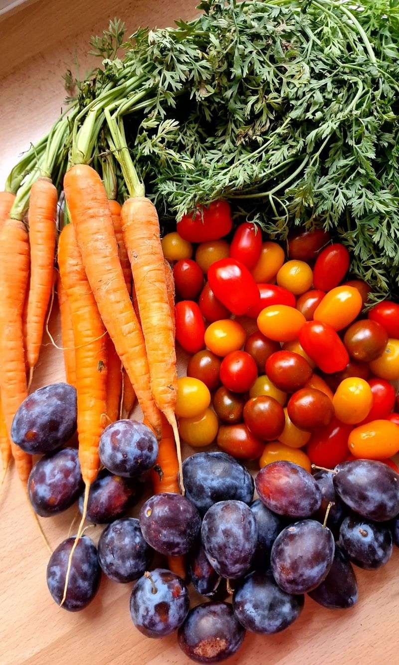 Tomatoes Protect Carrots From Pesky Bugs Tomatoes Protect Carrots From Pesky Bugs
