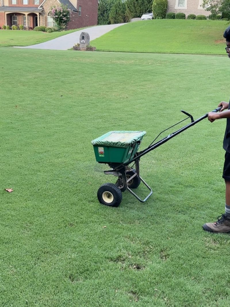 Too Much Nitrogen Is The Classic Misstep
