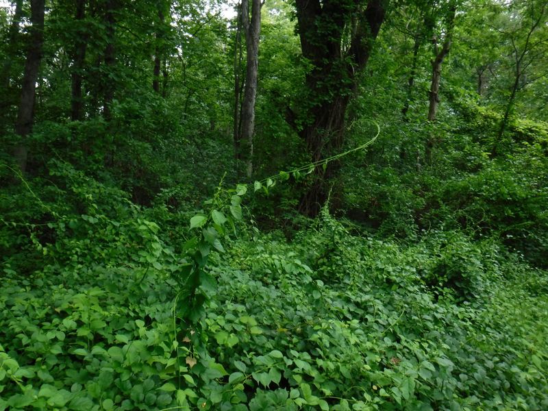 Treat the surprising harvest as an exception, not a landscape plan Treat the surprising harvest as an exception, not a landscape plan