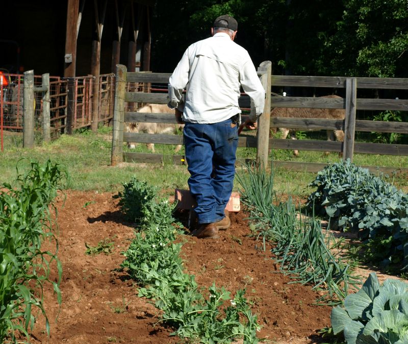 Treat weed control and soil repair as two jobs