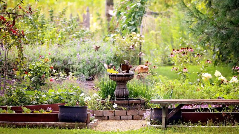 Turn Garden Debris Into A Bird-Friendly Resource Turn Garden Debris Into A Bird-Friendly Resource