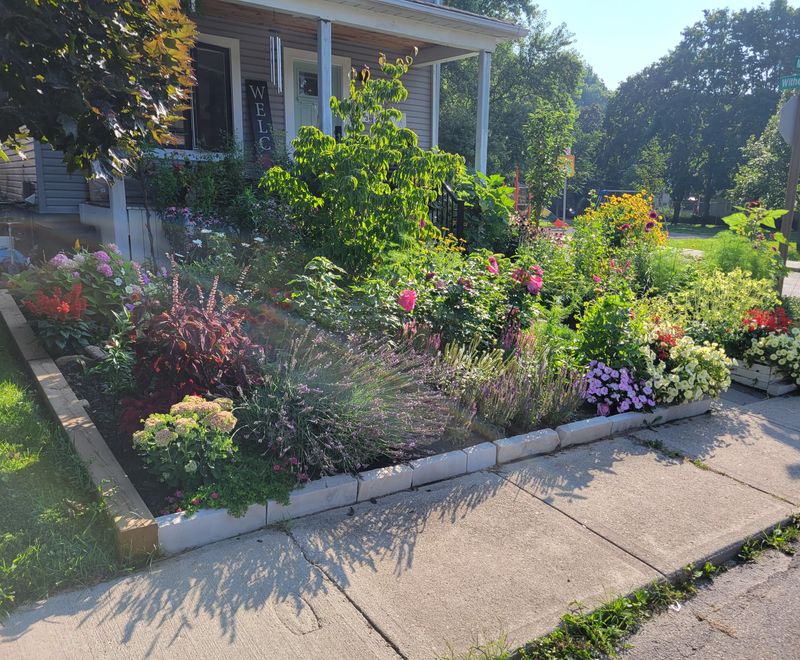 Turn One Lawn Edge Into A Pollinator Strip