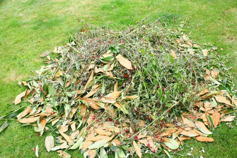 Turn Yard Waste Into A Lawn Advantage