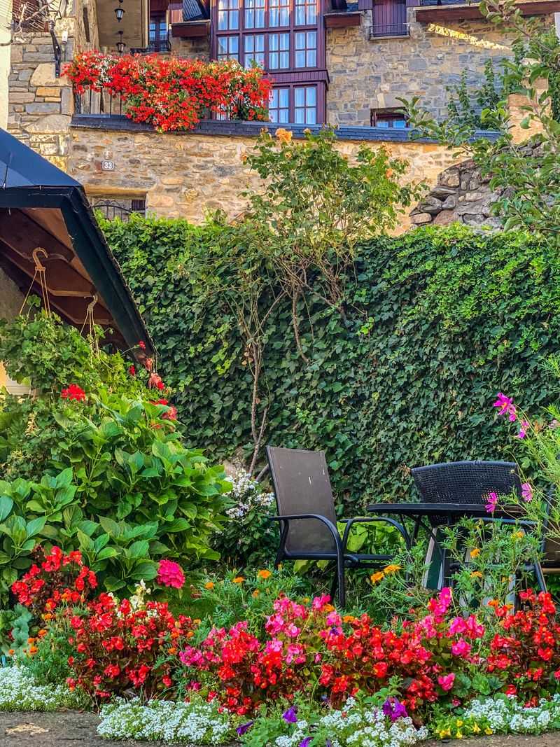 Turn Your Yard Into A Front-Row Seat
